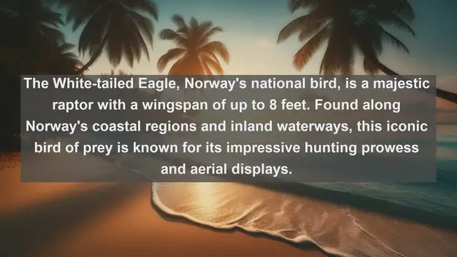 Video thumbnail for Exploring Norwegian Avian Wonders: Top 10 Native Birds