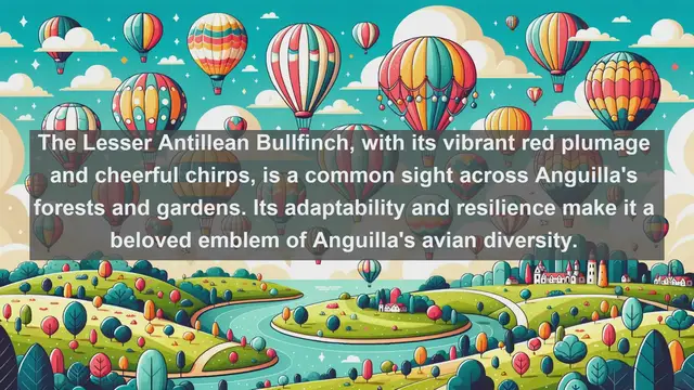 Video thumbnail for Top 10 native birds in Anguilla