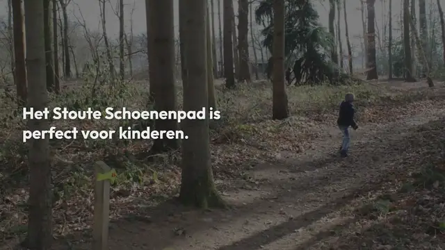 Video thumbnail for Wandelen bij kasteel Stoutenburg op het Stoute Schoenenpad