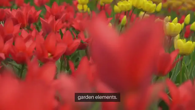 Video thumbnail for Herbaceous Border Planting Tips