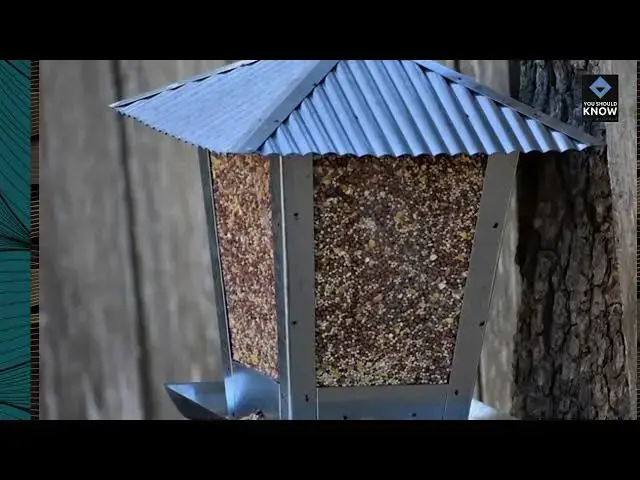 Video thumbnail for cTop 10 Unique DIY Projects to Upgrade Your Home's Exterior