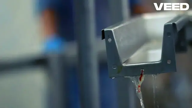 Video thumbnail for Unlock Your Dog’s Health_ Choose Wisely!-VEED