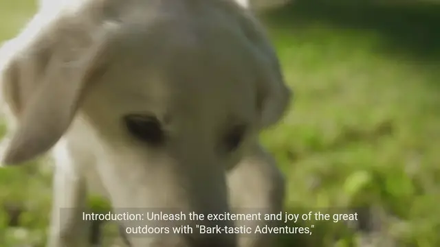 Video thumbnail for Bark-tastic Adventures: Outdoor Fun for Happy Hounds!