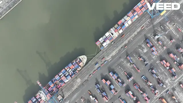 Video thumbnail for Master Shipping Turtles_ Easy Step-by-Step!