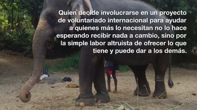 Video thumbnail for El voluntariado internacional, la mejor manera de aprender inglés