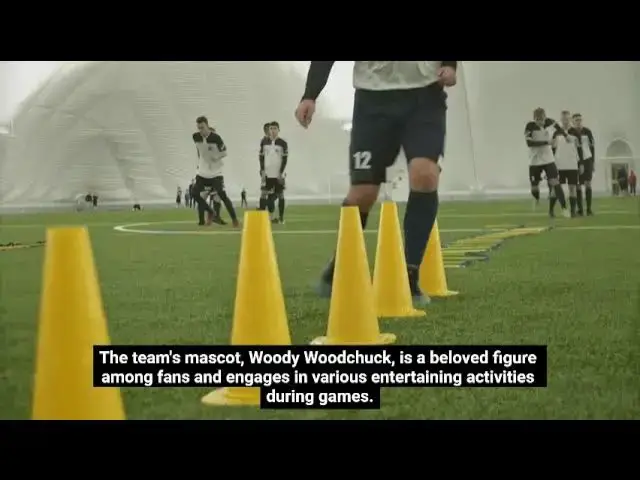 'Video thumbnail for wisconsin woodchucks'