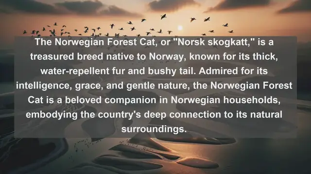 Video thumbnail for Exploring the Cozy Pet Culture of Norway: Top 10 Beloved Companions Revealed!