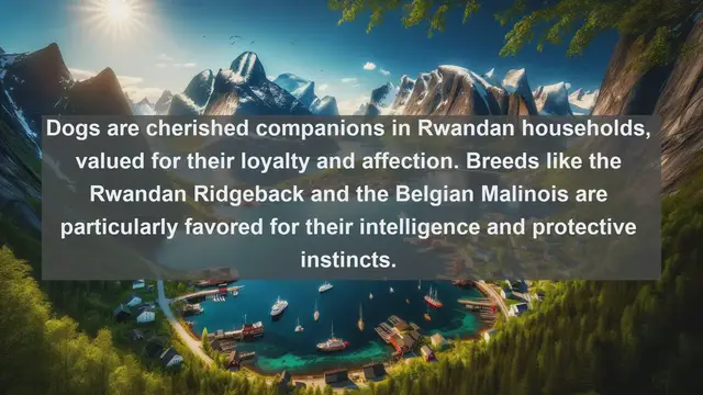 Video thumbnail for Island Treasures: Top 10 Favorite Pets in Réunion Unveiled