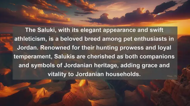 Video thumbnail for Jordan's Beloved Companions: Top 10 Favorite Pets Revealed