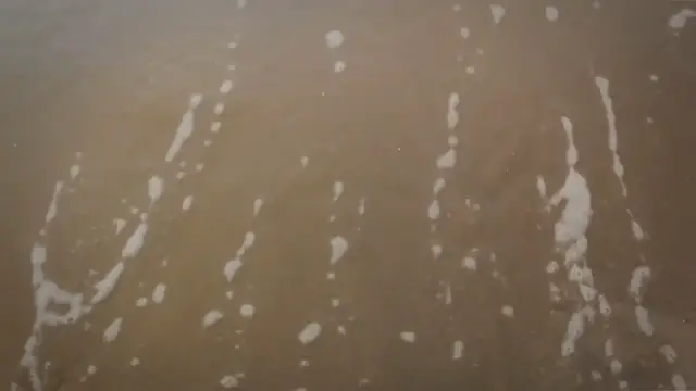 Video thumbnail for Unlocking the Mysteries: Decoding the Symbolism of Finding Lost Dogs in Dreams