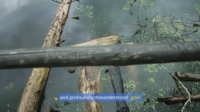 Video thumbnail for Navigating Through Grief: A Senior's Guide to Healing