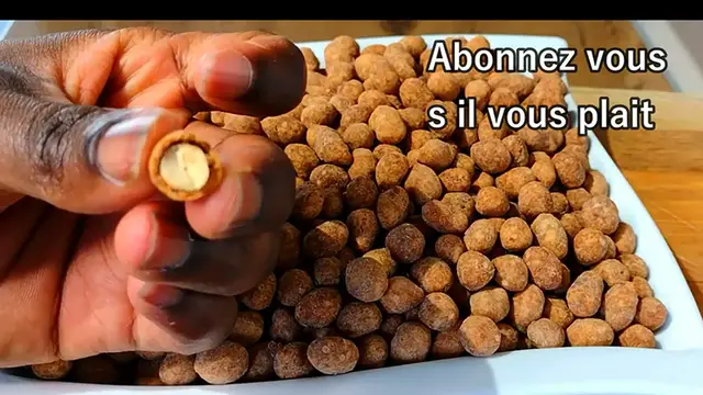 'Video thumbnail for Croquettes aux arachides__arachides enrobées'