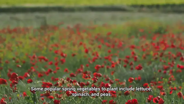 Video thumbnail for Spring Vegetables To Plant