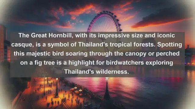 Video thumbnail for Wings of Thailand: Exploring the Top 10 Native Birds in the Land of Smiles