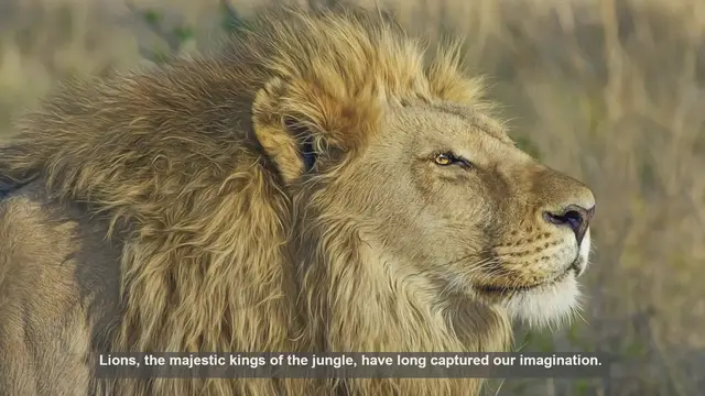 Video thumbnail for 10 Surprising Examples of Human-Lion Coexistence