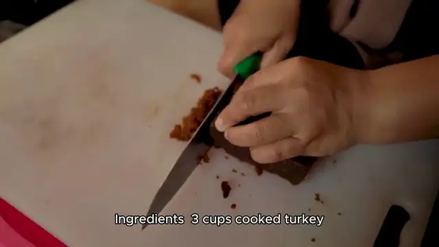 Video thumbnail for Turkey leftover recipe