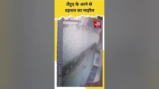 Video thumbnail for Sitapur में CCTV में तेंदुआ टहलते हुआ दिखा, तेंदुए के आने से दहशत का माहौल । #shortvideo । #viral