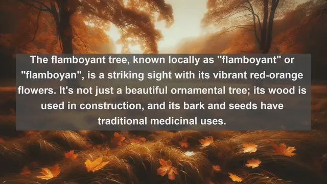 Video thumbnail for Exploring Haiti's Natural Treasures: Top 10 Native Plants You Need to Know