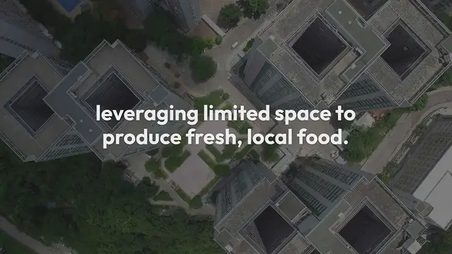 Video thumbnail for Urban Farming Strategies