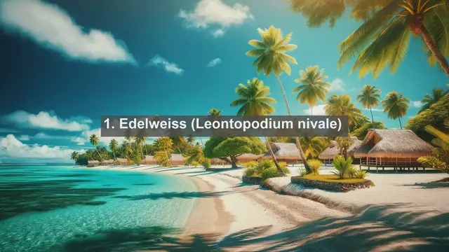 Video thumbnail for Discovering Kyrgyzstan's Natural Treasures: Top 10 Native Plants Revealed