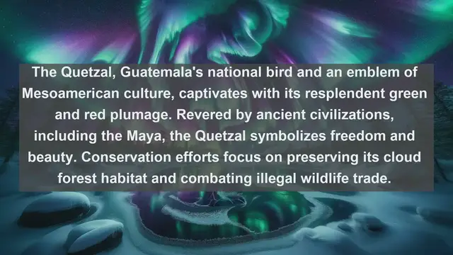 Video thumbnail for Top 10 native birds in Guatemala