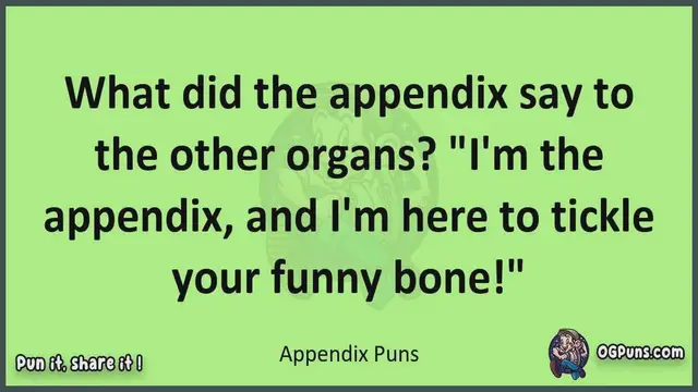 Video thumbnail for Appendix - Jokes, Puns, Wordplays, and Laughter