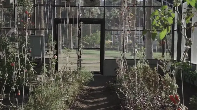 Video thumbnail for How To Build A Tropical Greenhouse: 10 Rules Of Thump To Follow