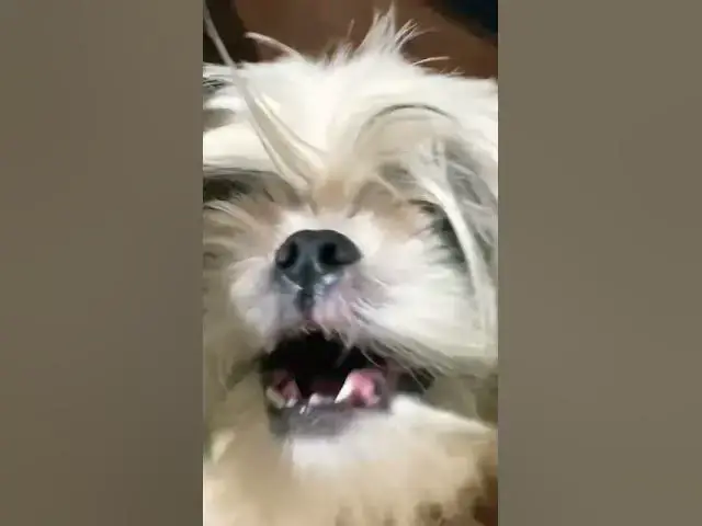 Video thumbnail for May 18, 2024