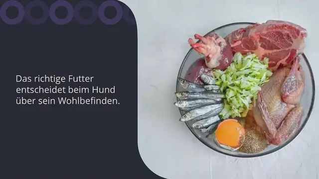 Video thumbnail for Barfen beim Hund: Alle Kosten & Preise erklärt (Ratgeber)