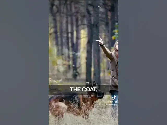 'Video thumbnail for 27 mai 2024'