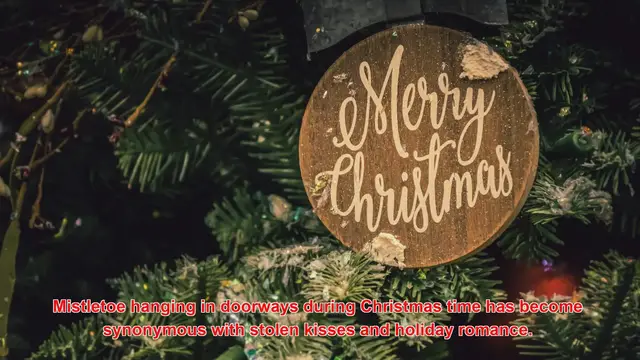Video thumbnail for Why Is Mistletoe Tied To Christmas Romance?