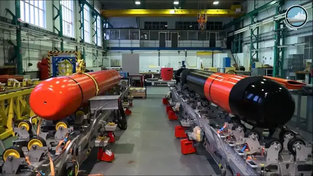 'Video thumbnail for Inside Naval Group's Underwater Weapon Facility - F21 - MU90 - D19 - CANTO'