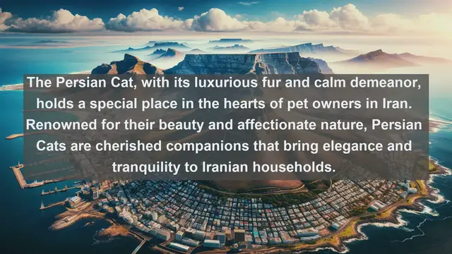 Video thumbnail for Unveiling Iran's Most Beloved Companions: Top 10 Favorite Pets Revealed