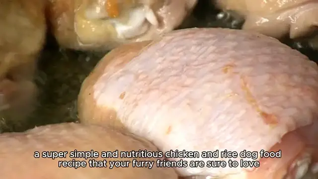 Video thumbnail for Easy Chicken and Rice Dog Food