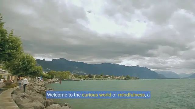 Video thumbnail for mindfulness humor: Laughing at our quest for presence