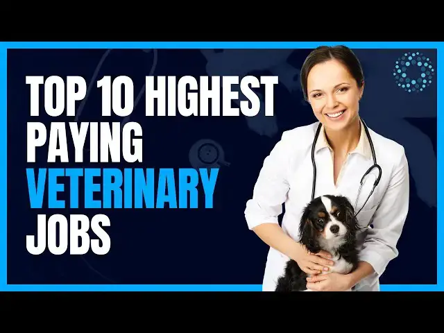 'Video thumbnail for Top 10 Highest Paying Veterinary Jobs'