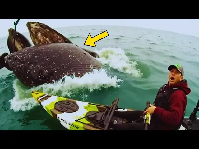 'Video thumbnail for Man Kayaks Into a Calm Ocean – Seconds Later, This Happens In Front Of Him'