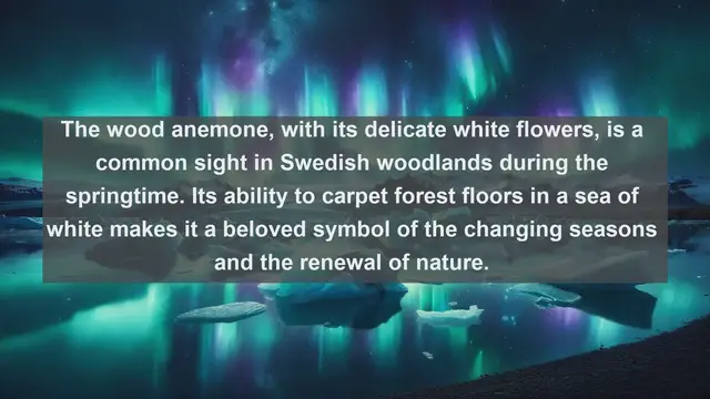 Video thumbnail for Discovering Sweden's Botanical Wonders: Top 10 Native Flora Species