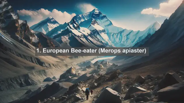 Video thumbnail for Discovering Moldova's Natural Treasures: Top 10 Native Fauna Species