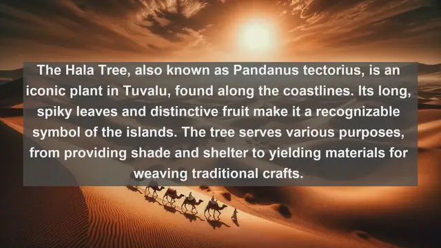 Video thumbnail for Exploring Türkiye's Natural Treasures: Top 10 Native Flora Revealed