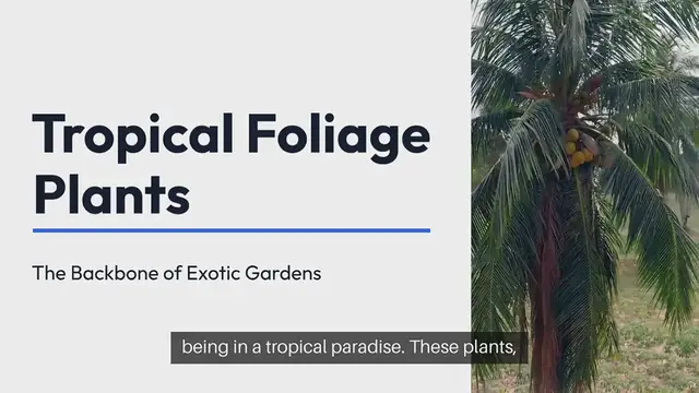 Video thumbnail for Tropical Foliage Plants For Exotic Gardens
