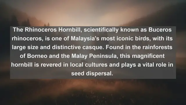Video thumbnail for Wings of Malaysia: Top 10 Native Birds You Need to See!