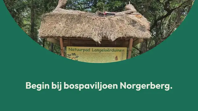 Video thumbnail for Struin- en duinpad in Norg, een leuke korte wandelroute in Drenthe