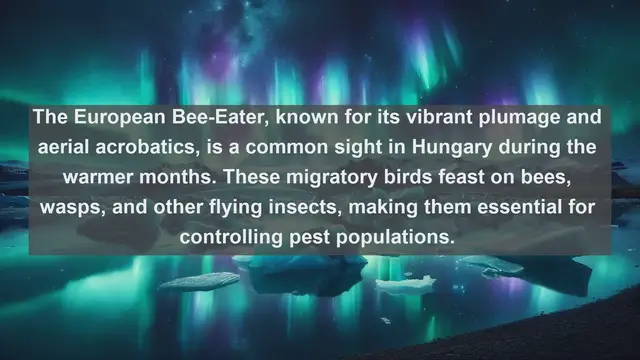 Video thumbnail for Exploring Hungary's Wildlife: Top 10 Native Animals You Need to Know