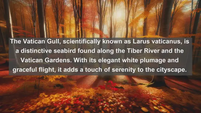 Video thumbnail for Top 10 native animals in Vatican City State