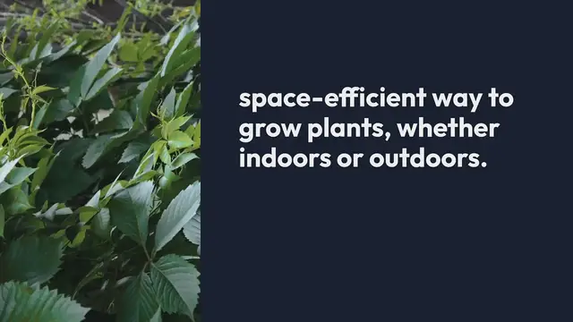 Video thumbnail for Vertical Wall Garden DIY Ideas