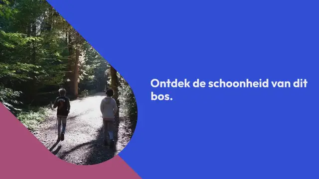 Video thumbnail for Wandelen in het Vijlenerbos en pauzeren bij Boscafé Het Hijgend Hert: de perfecte combinatie