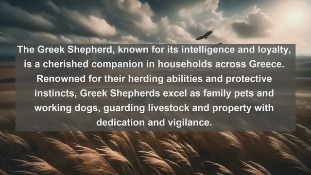 Video thumbnail for Discover Greece's Most Beloved Companions: Top 10 Favorite Pets