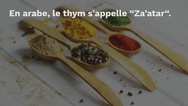 Video thumbnail for Za’atar : comment faire soi-même le mélange d’épices levantin: