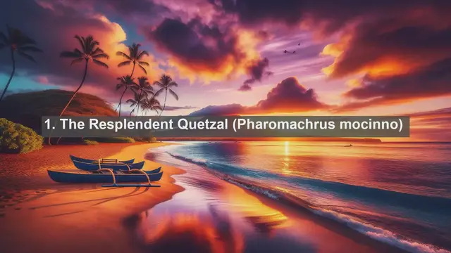 Video thumbnail for Top 10 native animals in El Salvador